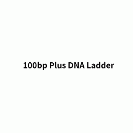 100bp Plus DNA Ladder