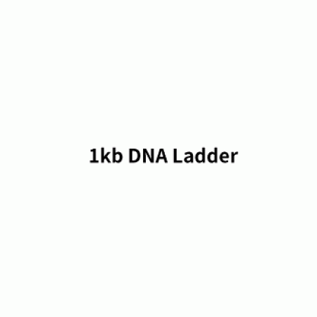 1kb DNA Ladder