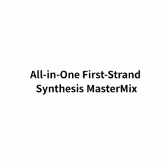 All-in-One First-Strand Synthesis MasterMix
